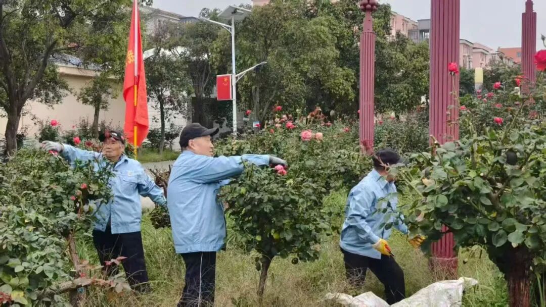 4eafd9d6-8b1c-49b8-880a-f8ebfbc68f6e.jpg 4eafd9d6-8b1c-49b8-880a-f8ebfbc68f6e.jpg