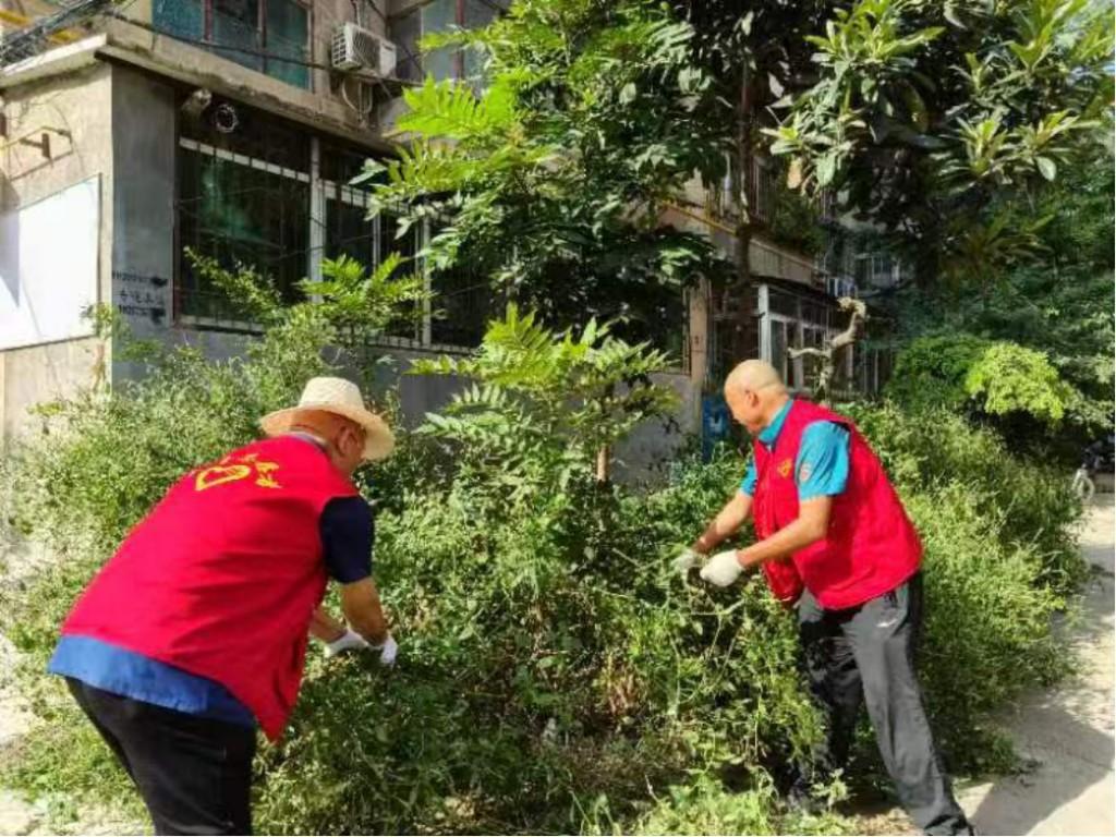 e69a1aa1-fa18-49d6-92bd-83f9bca273e1.jpg e69a1aa1-fa18-49d6-92bd-83f9bca273e1.jpg