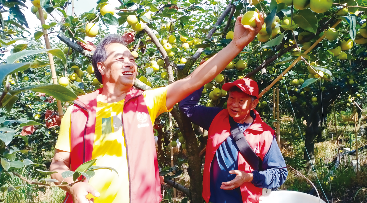 bc83f9d7-1ca7-4498-a9e4-d0001a6b9db3.png bc83f9d7-1ca7-4498-a9e4-d0001a6b9db3.png