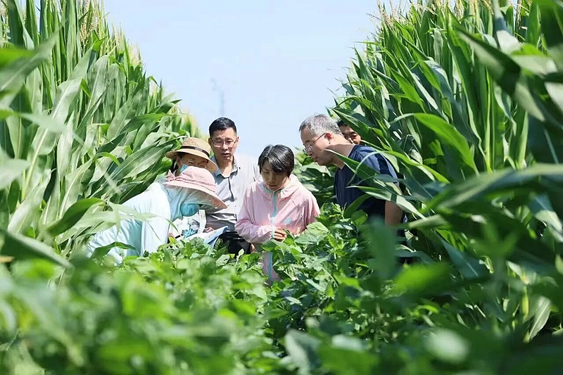 微信图片_2026-09-23_141441_799_副本.jpg